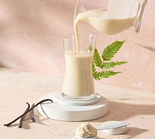 Veganer Proteindrink-Mix Vanille 560g